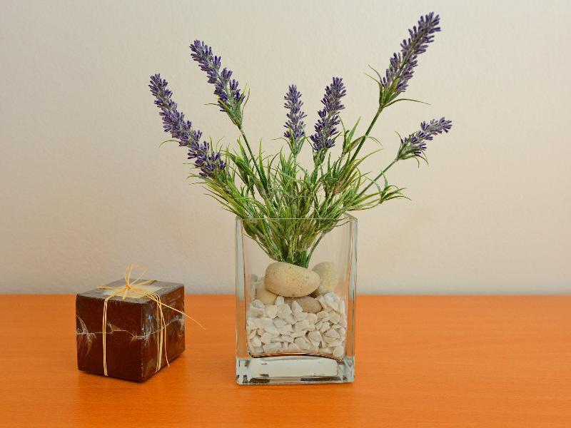 Andjelko Apartment Задар Екстериор снимка